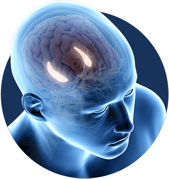 Billionaire Brain Wave Customer Reviews